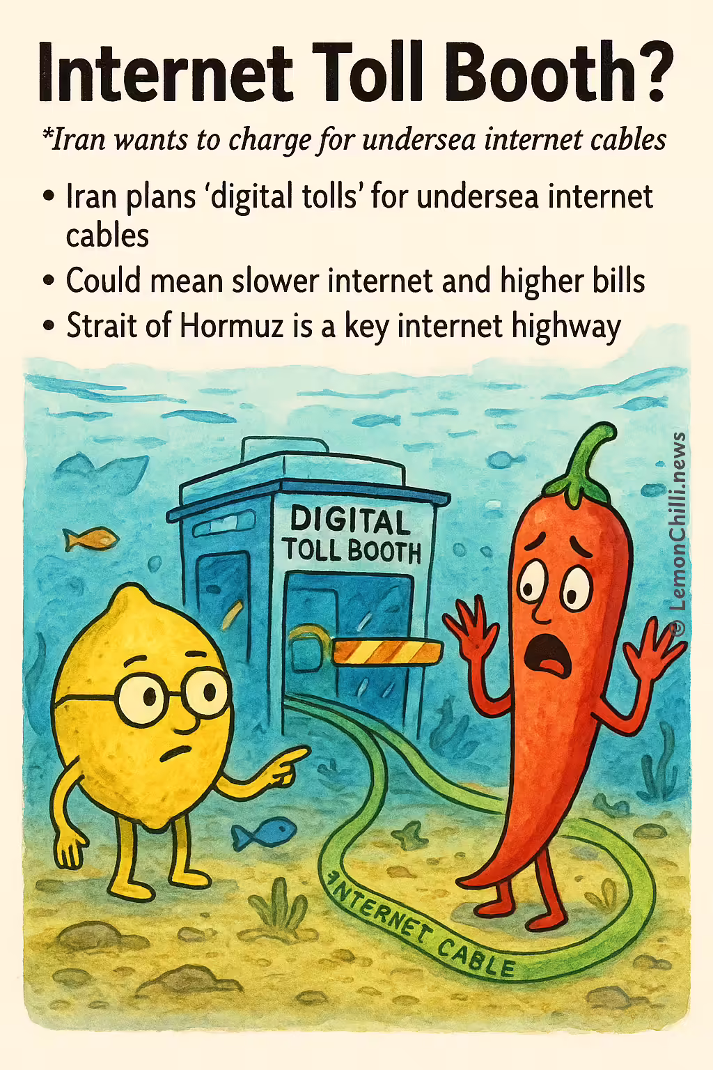 Internet Toll Booth?